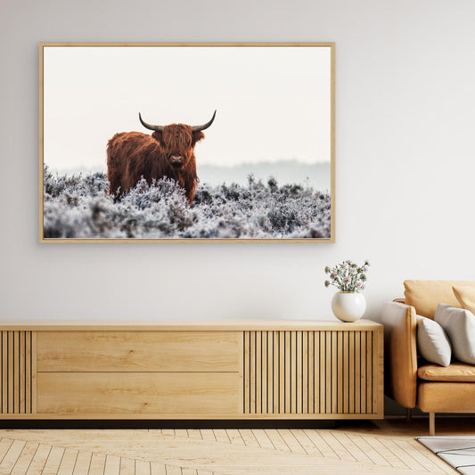 Highlander by Jaap Van Den Helm