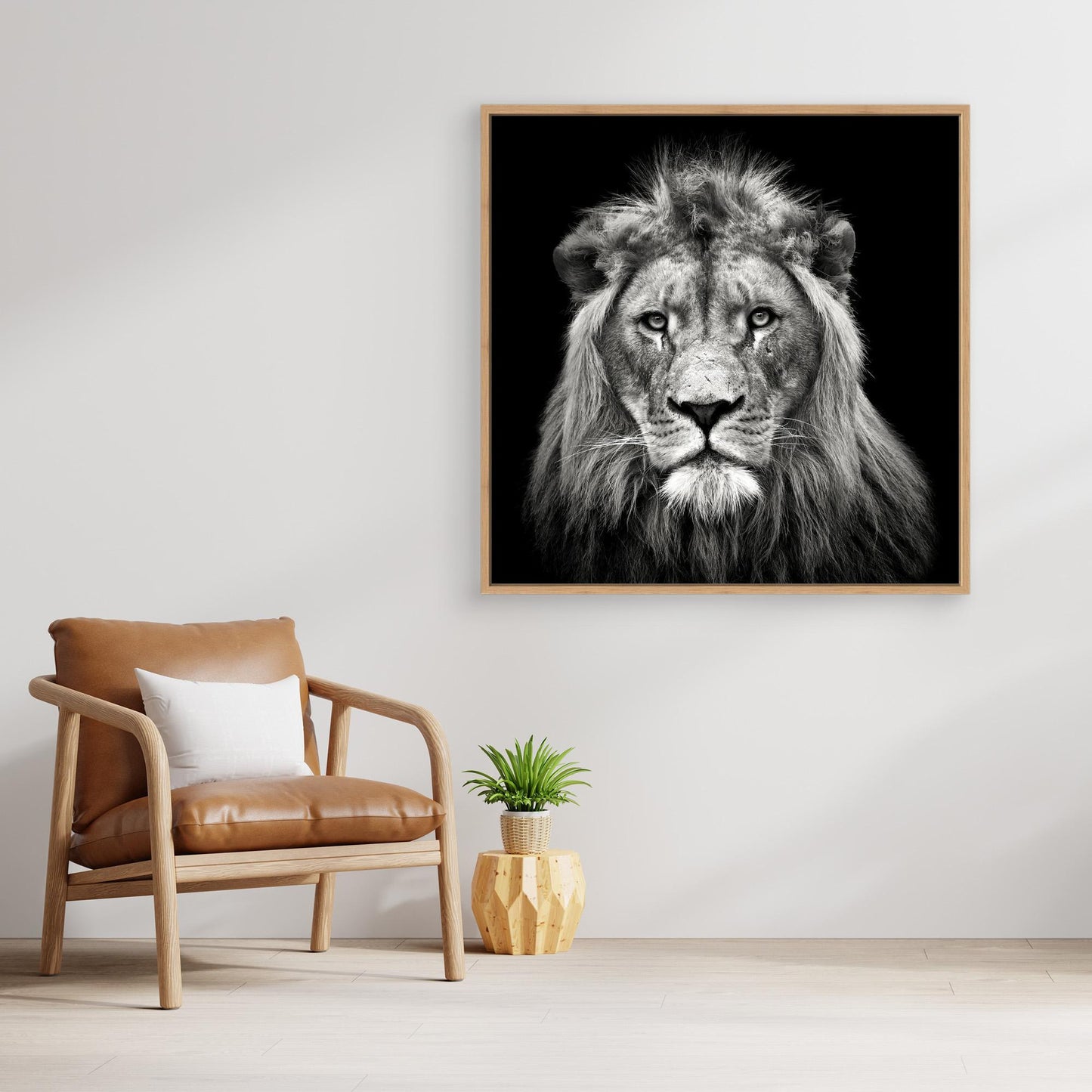 Young Male Lion by Christian Meermann