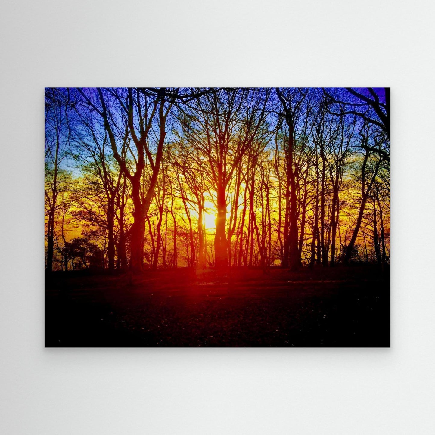 Embers of the Horizon by Olivia Cane