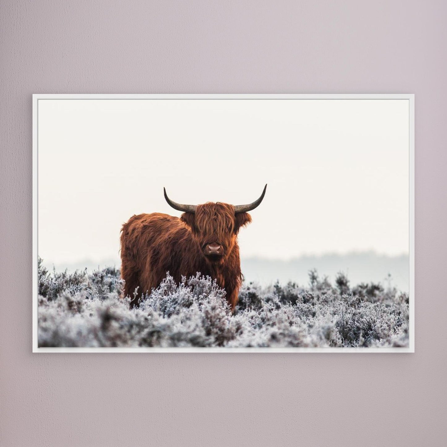 Highlander by Jaap Van Den Helm