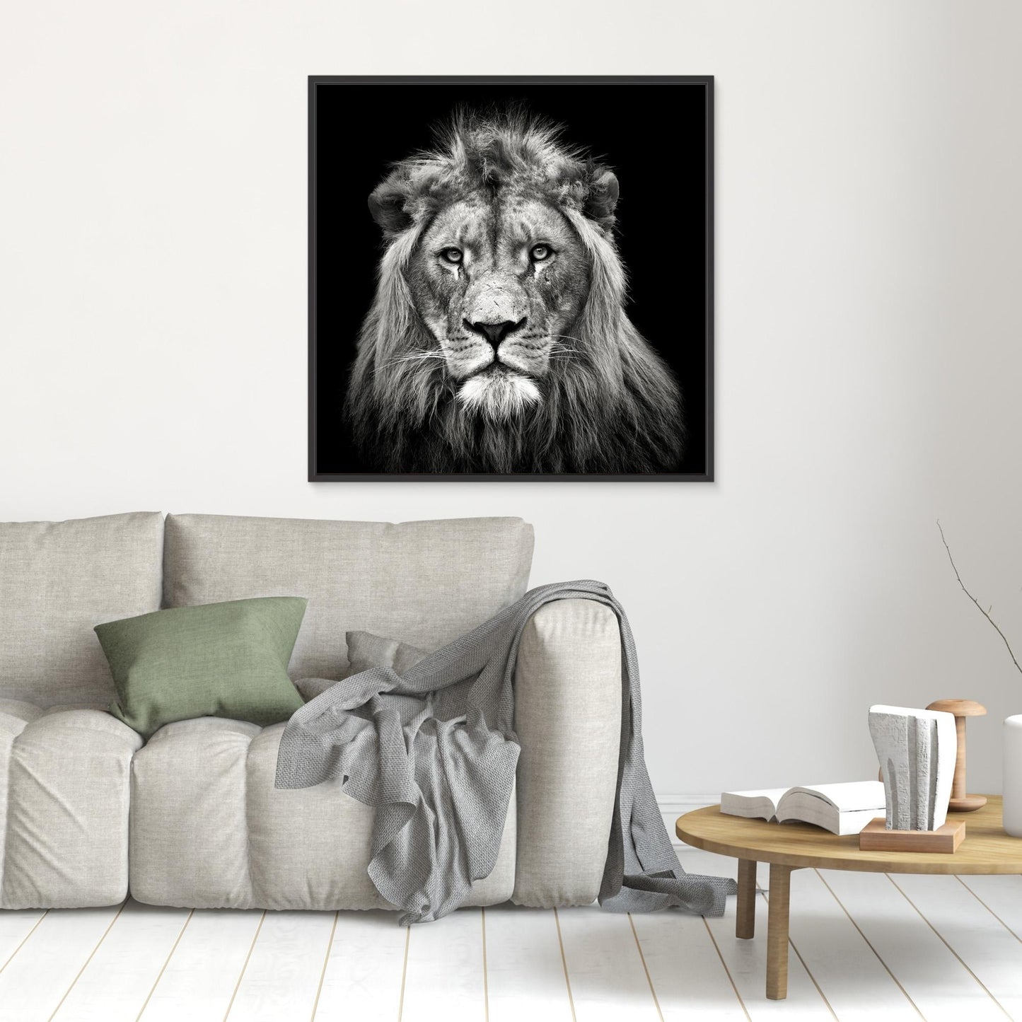 Young Male Lion by Christian Meermann