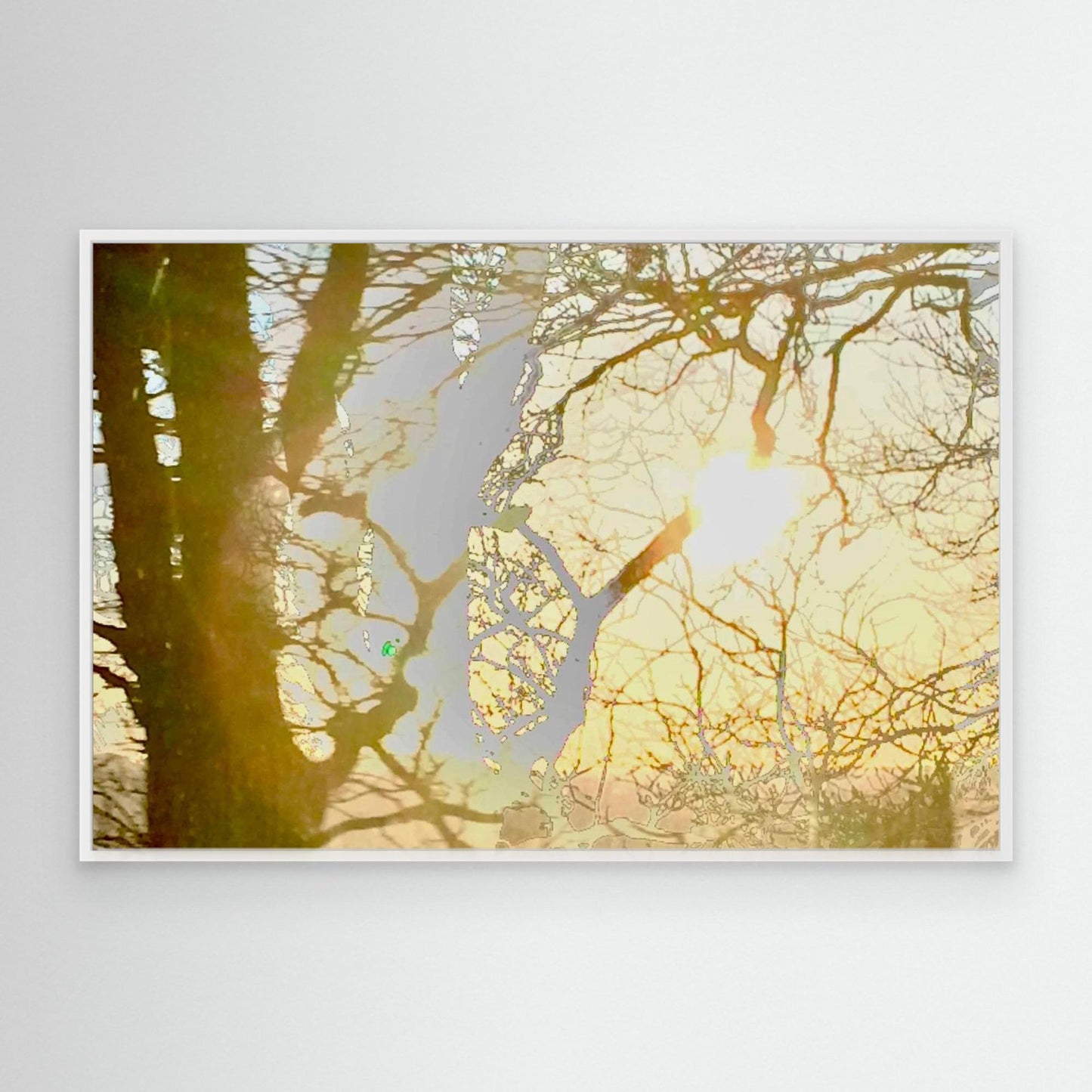 Daydream in Branches