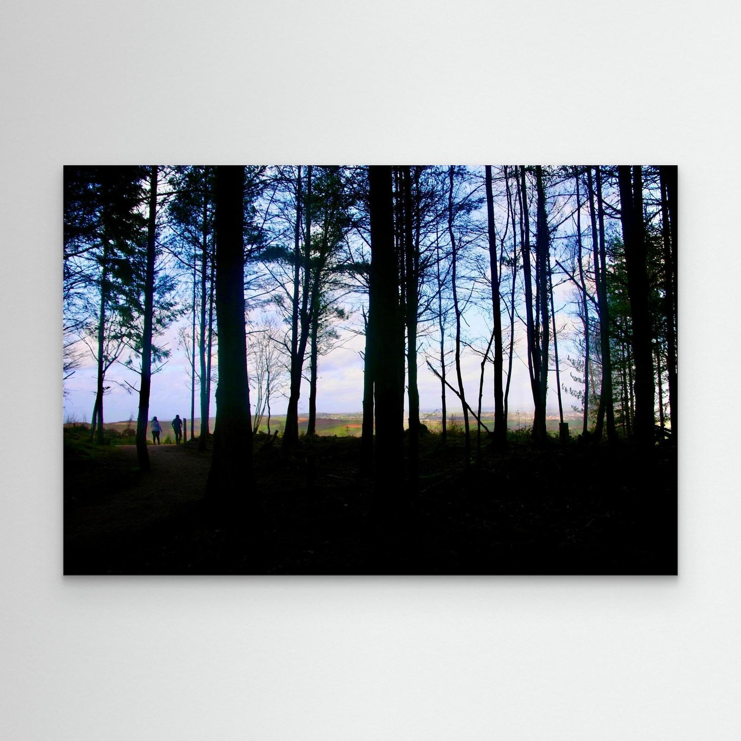 Out of the Woods