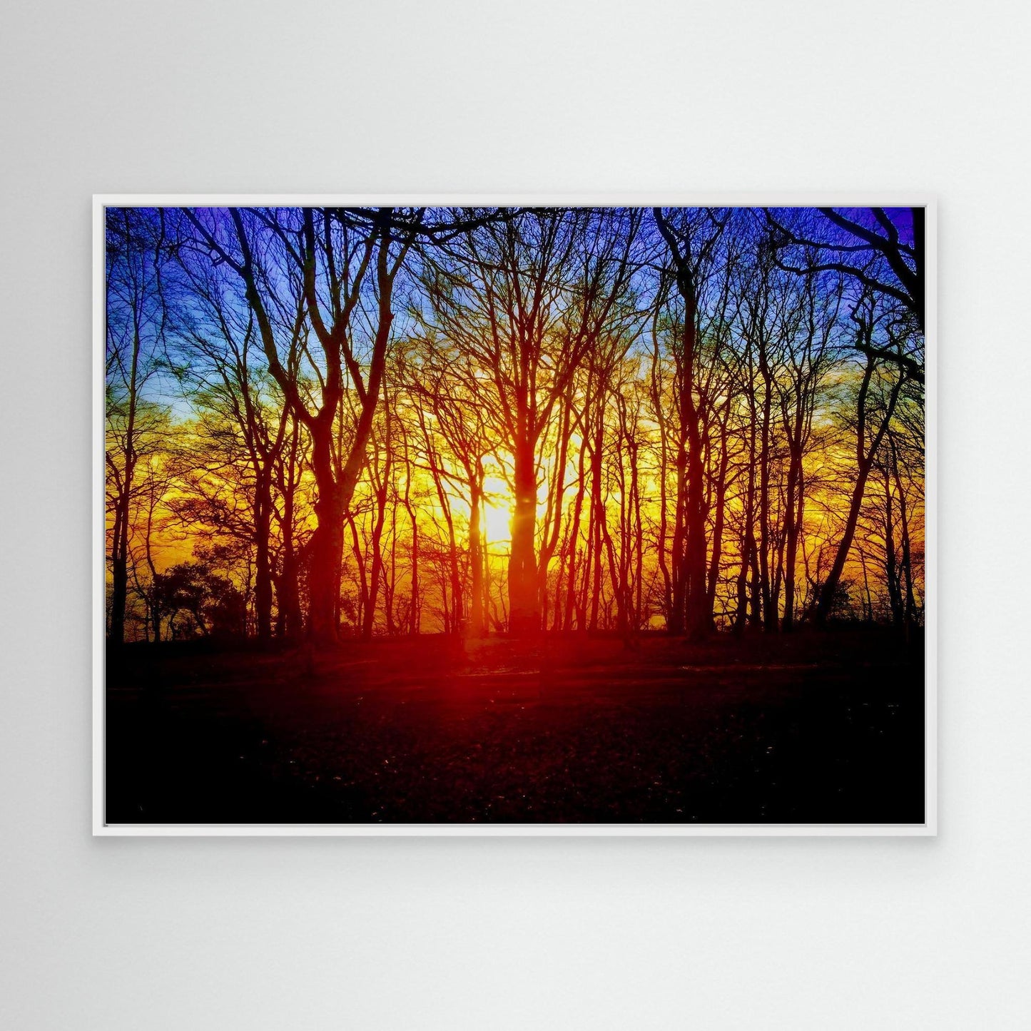Embers of the Horizon by Olivia Cane