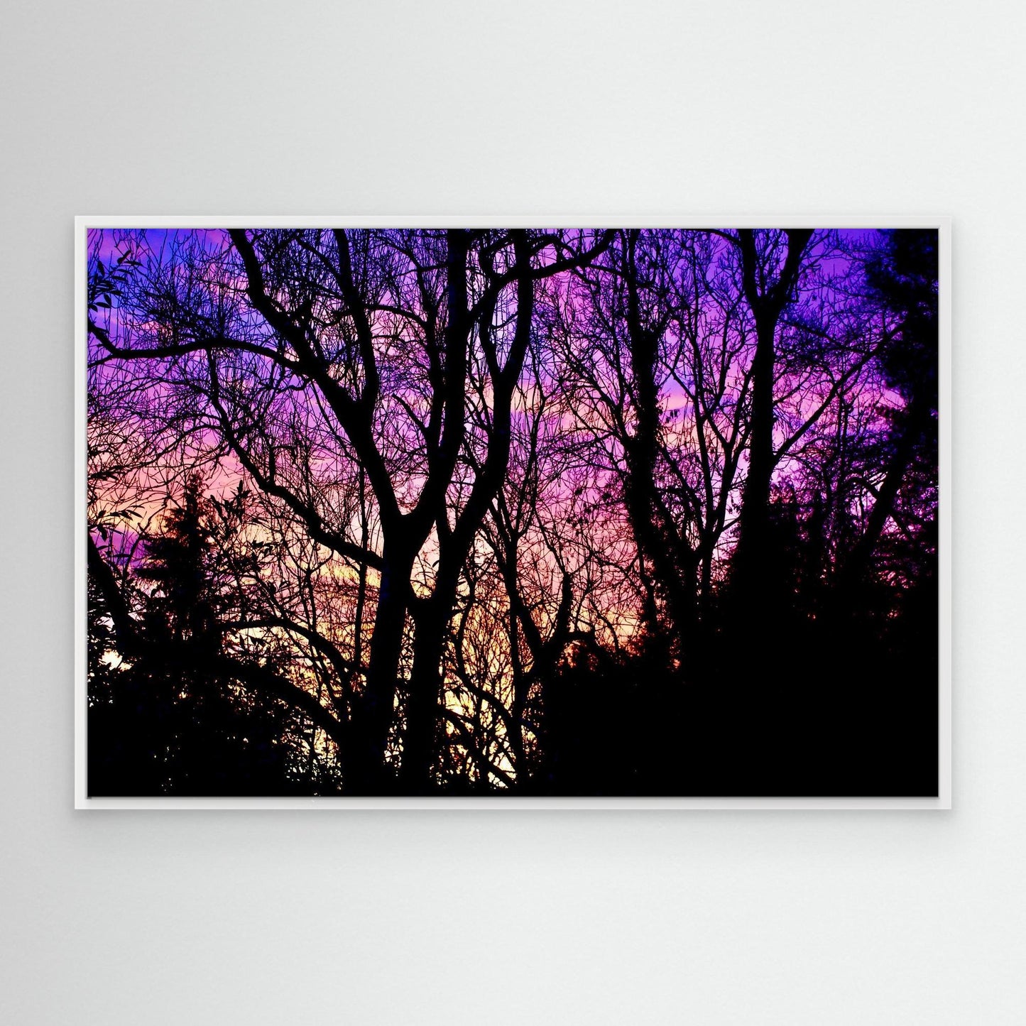 Violet Silence