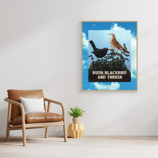 Bush, Blackbird and Thrush