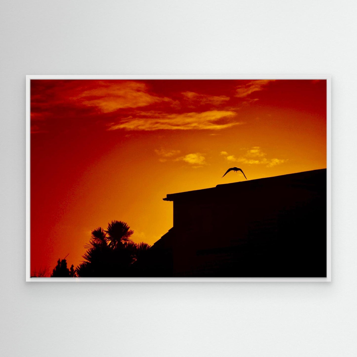 Last Light, First Wing