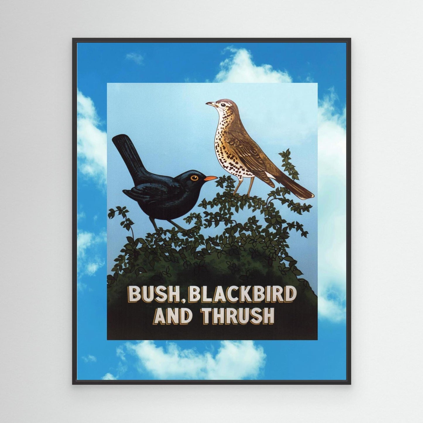 Bush, Blackbird and Thrush