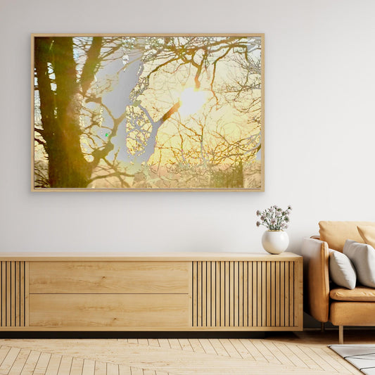 Daydream in Branches