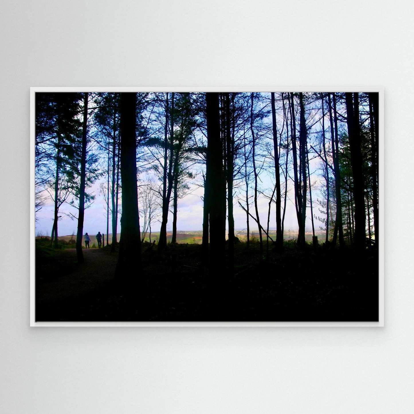 Out of the Woods