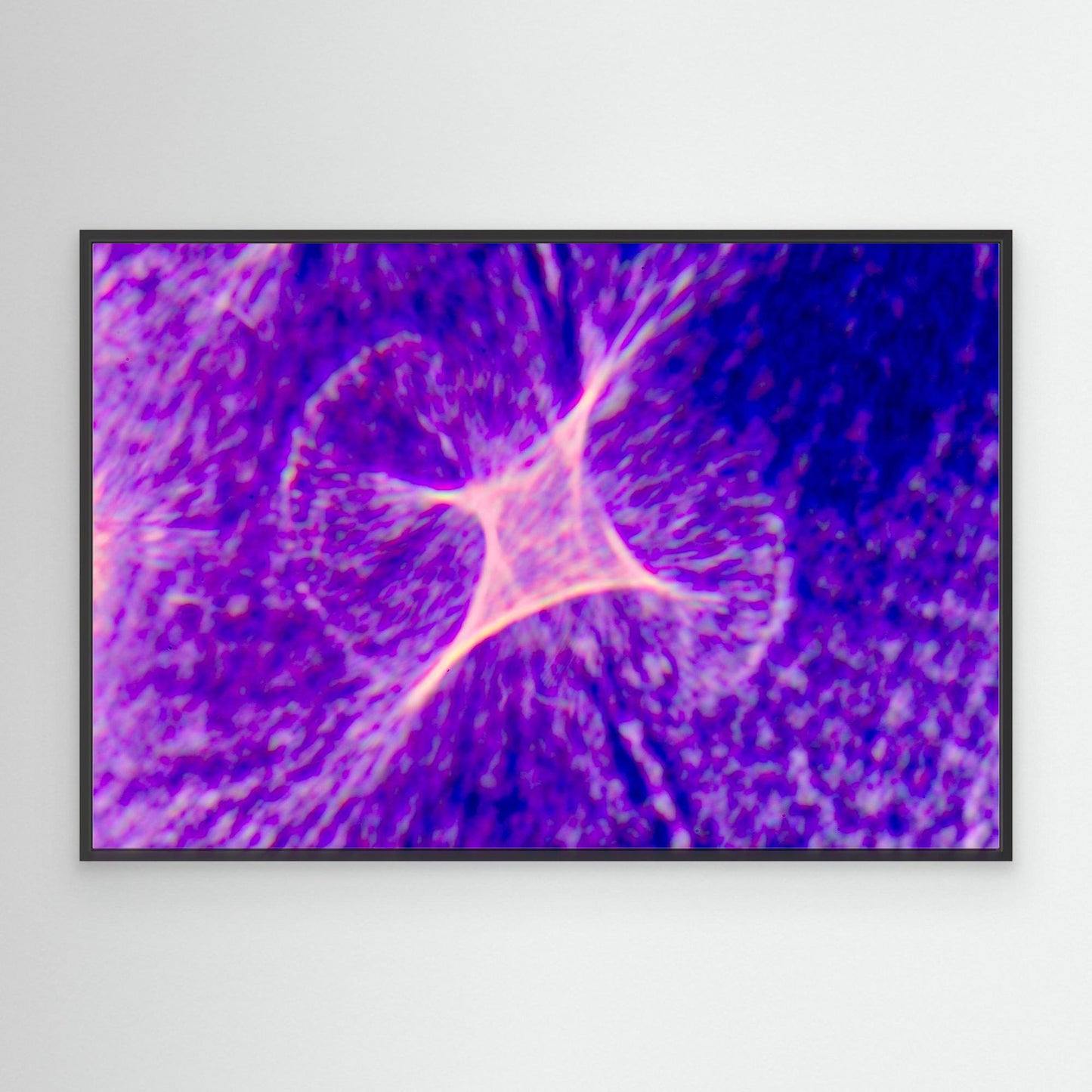 Purple Haze