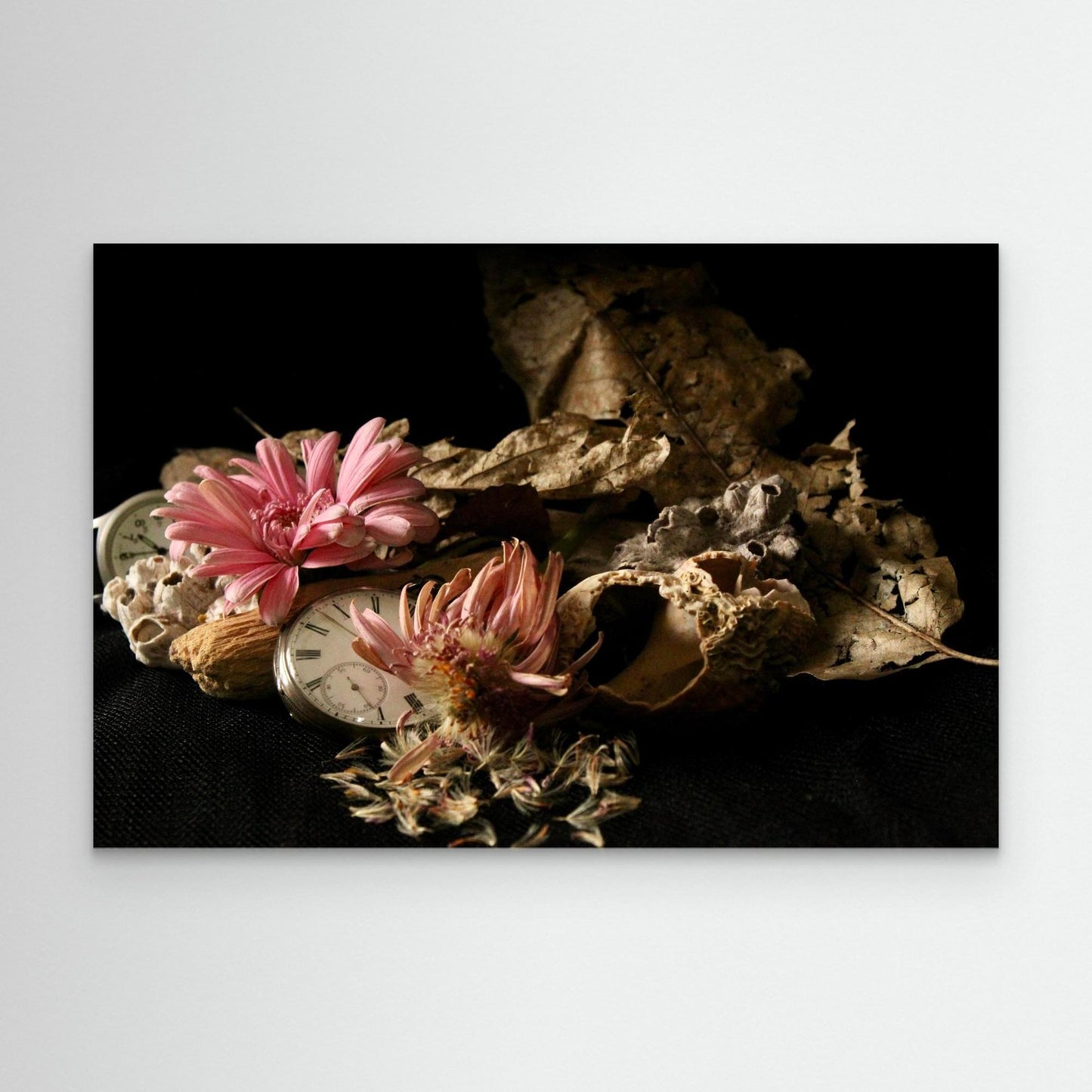 When Time Wilted