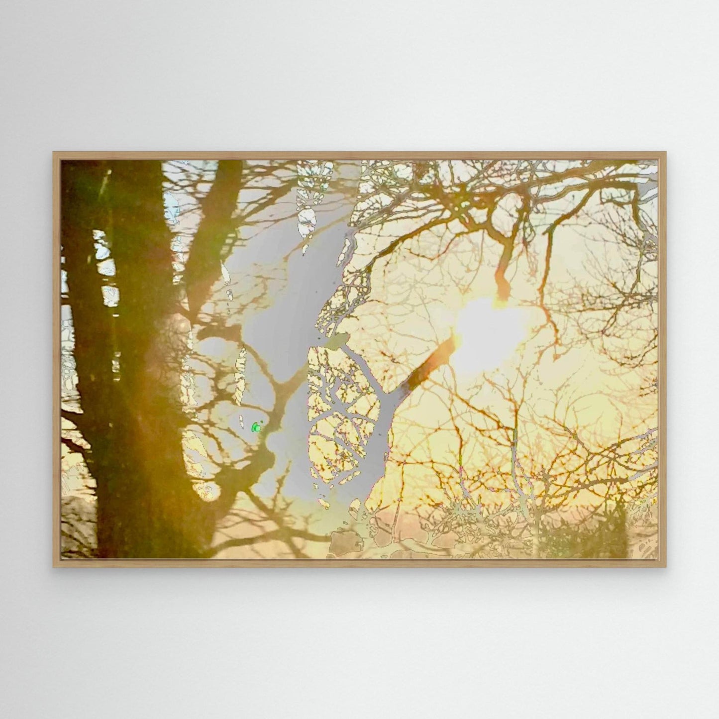 Daydream in Branches