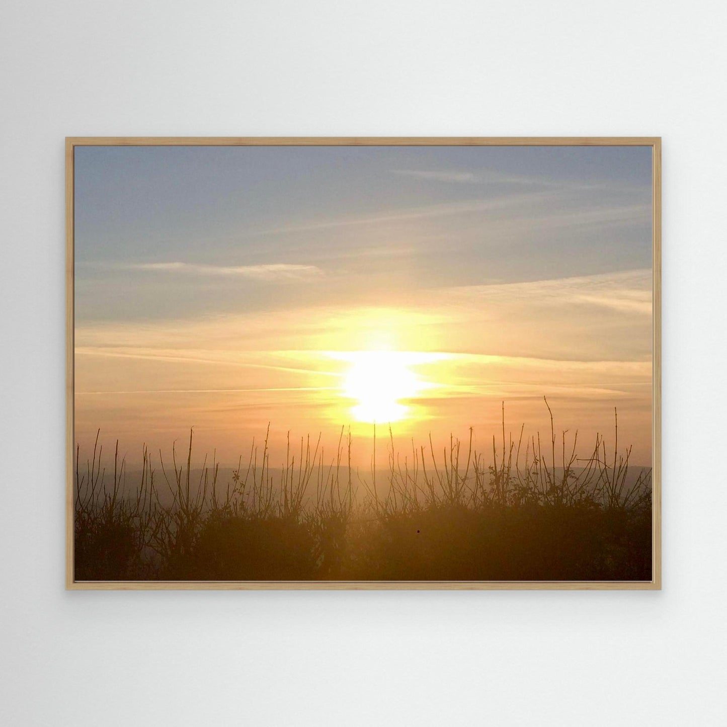 Golden Quiet