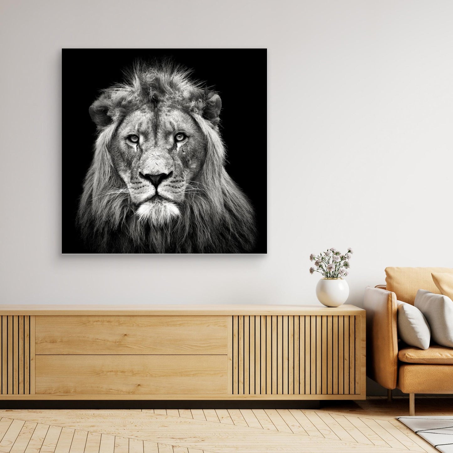 Young Male Lion by Christian Meermann