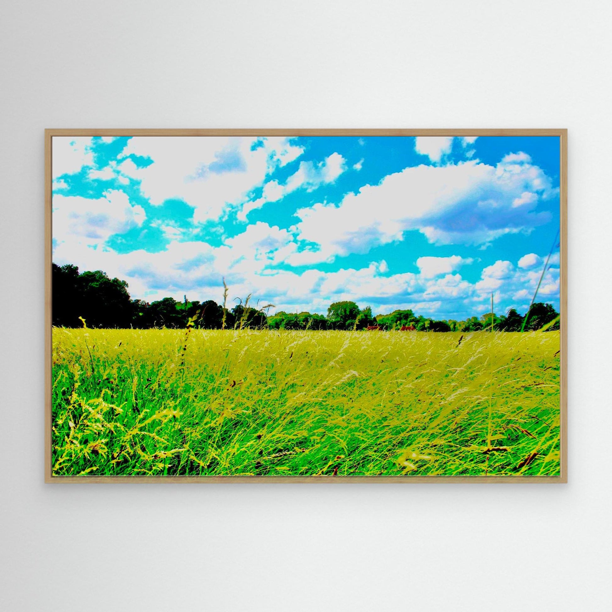 Through the Long Grass by Roger Cane