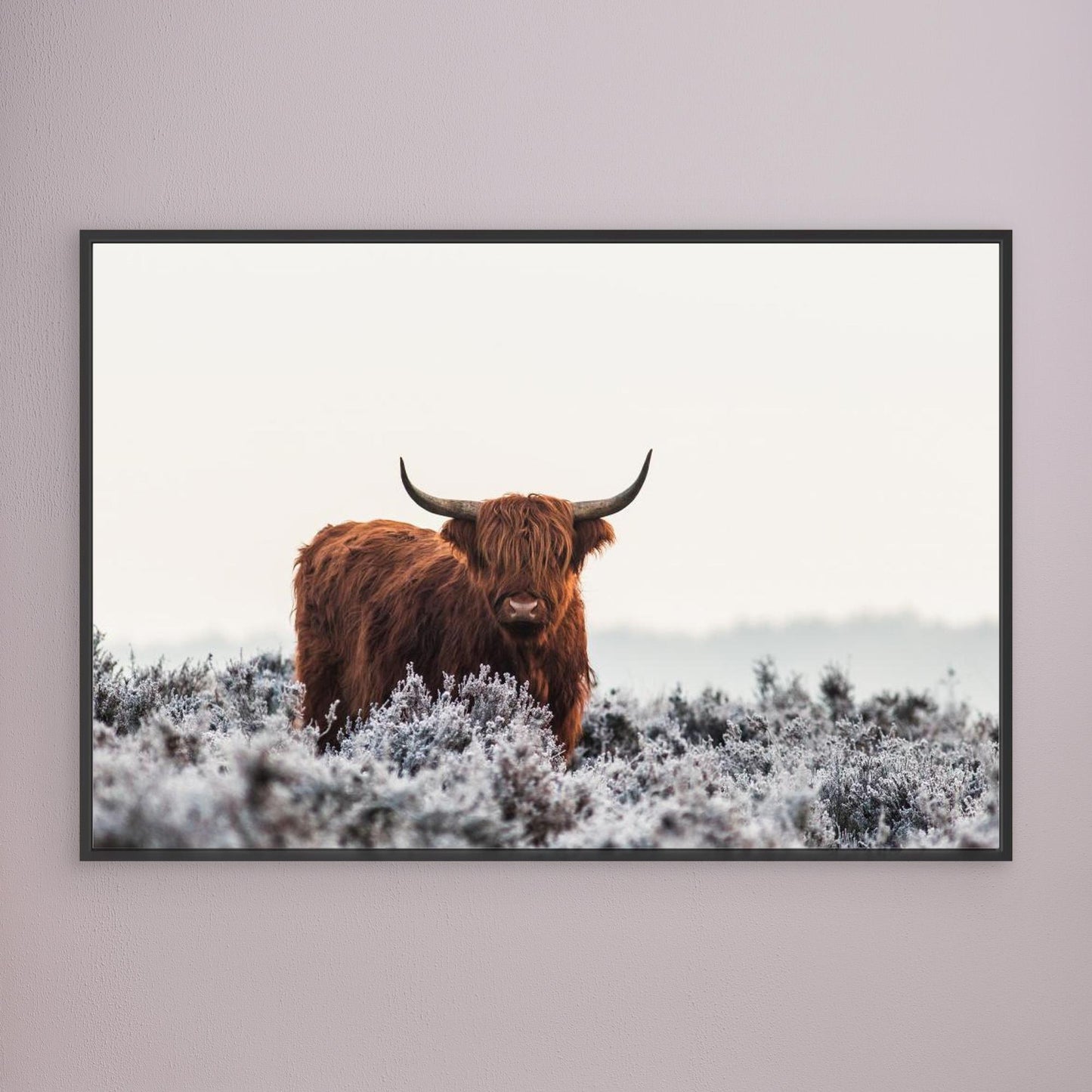 Highlander by Jaap Van Den Helm