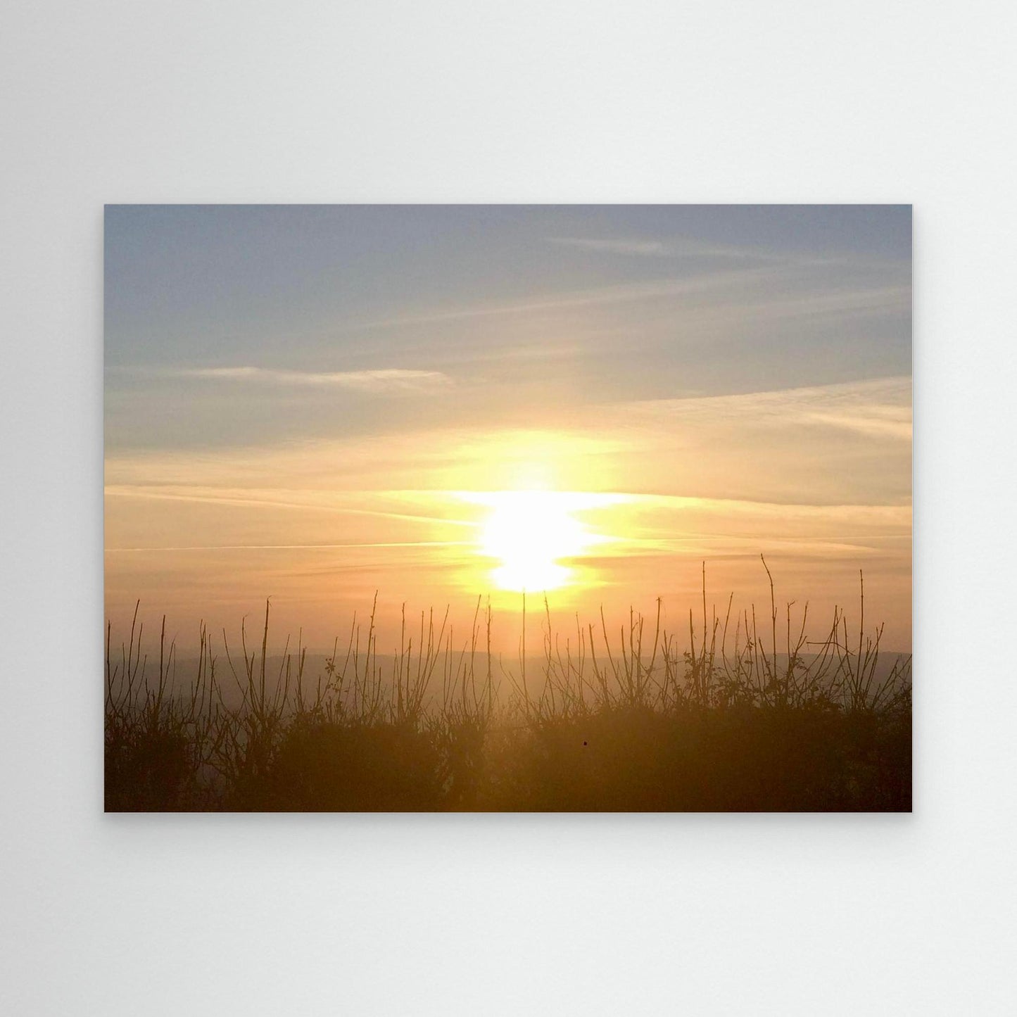 Golden Quiet