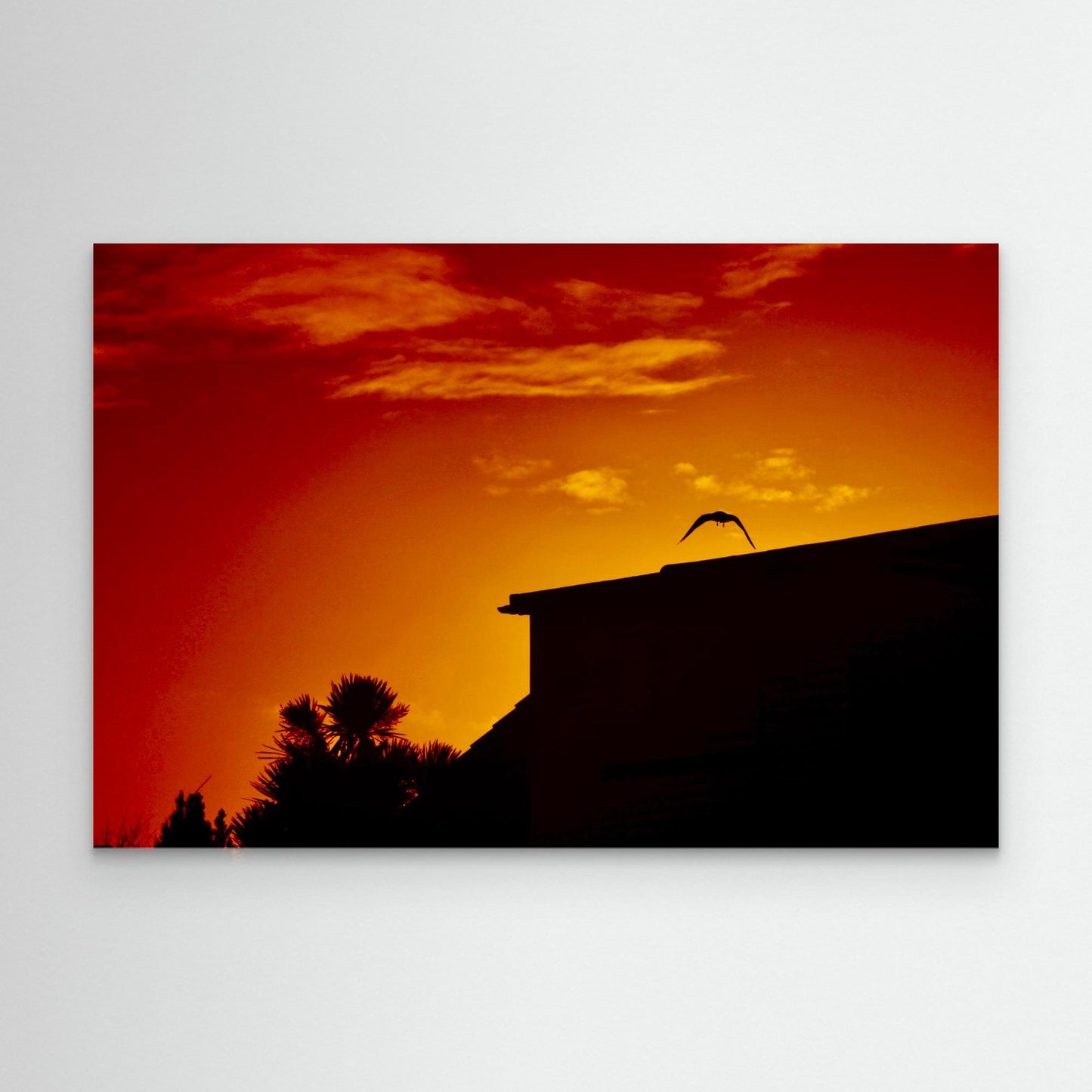 Last Light, First Wing