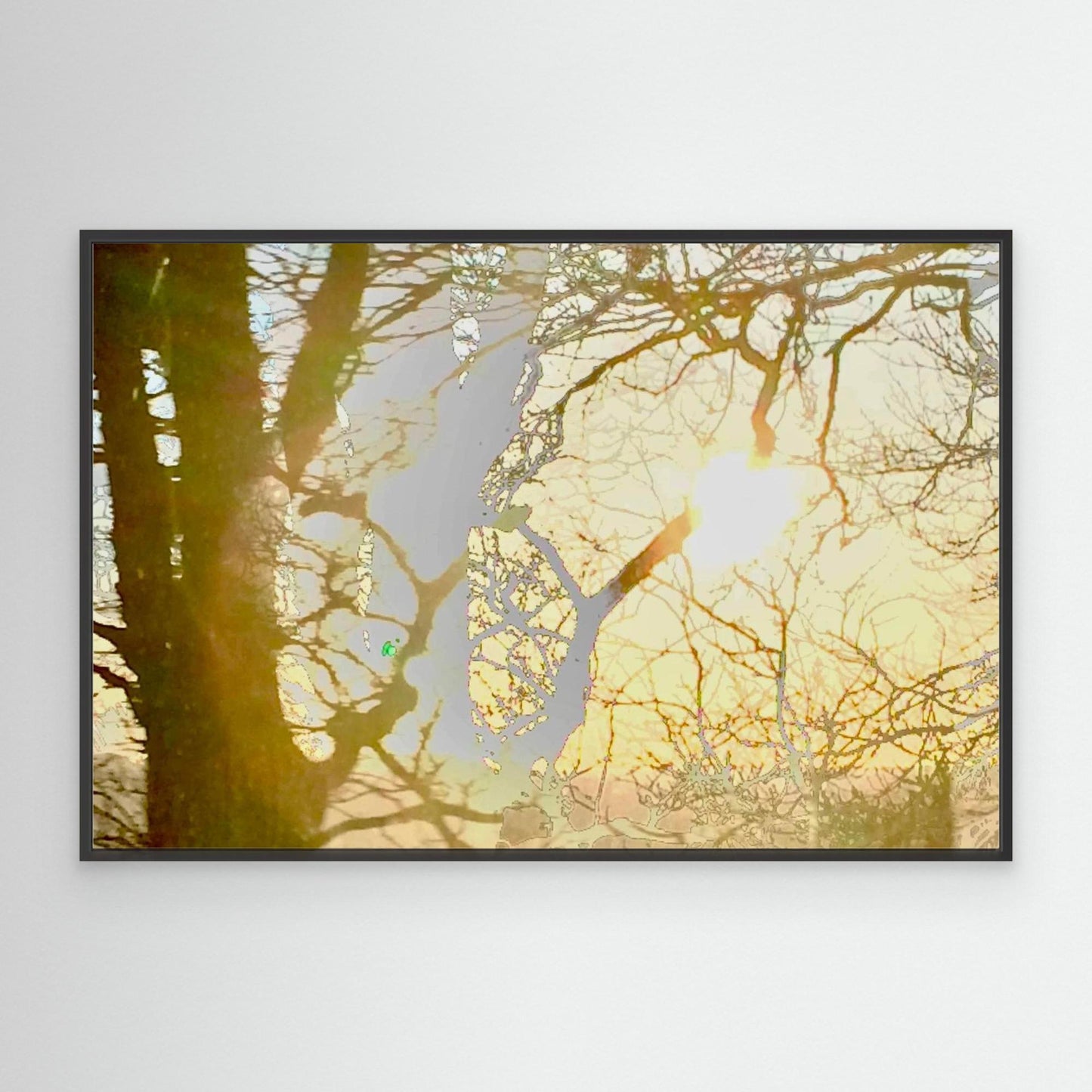 Daydream in Branches