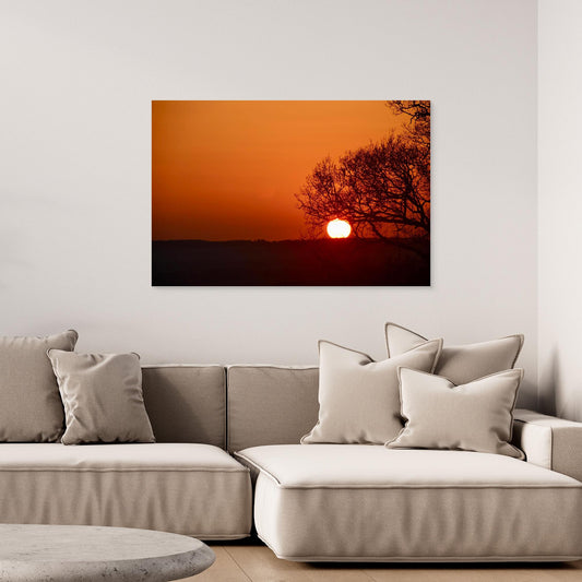 The Tree That Ate the Sun