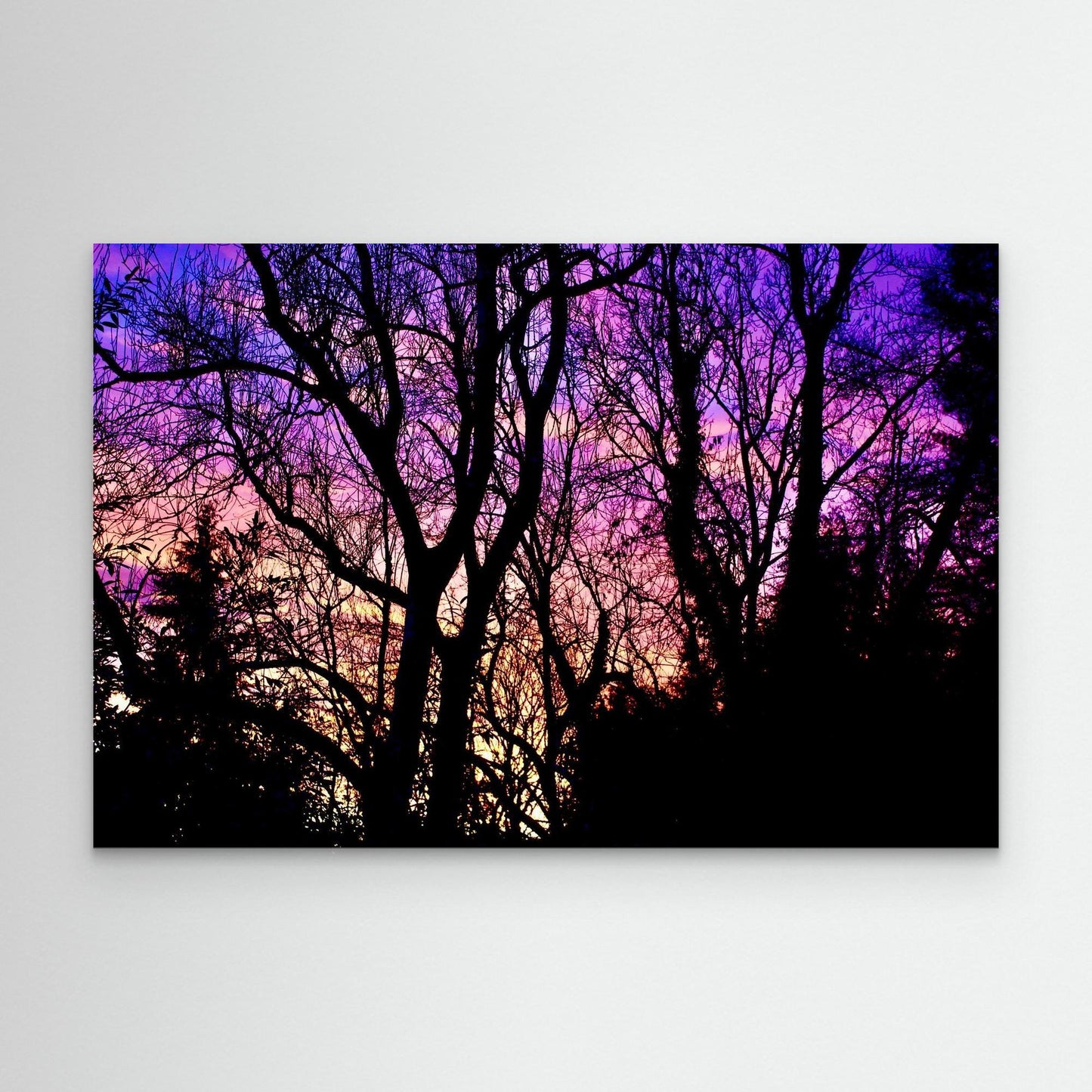 Violet Silence