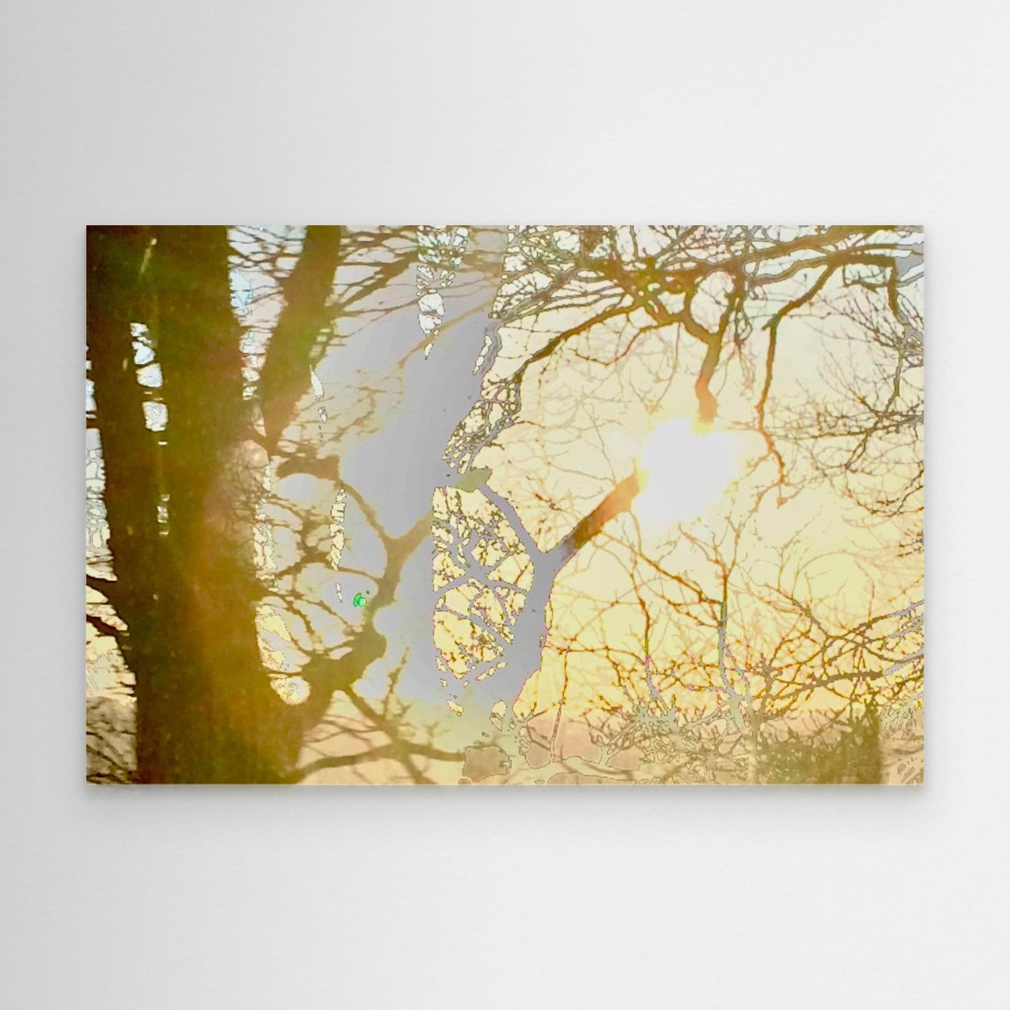 Daydream in Branches