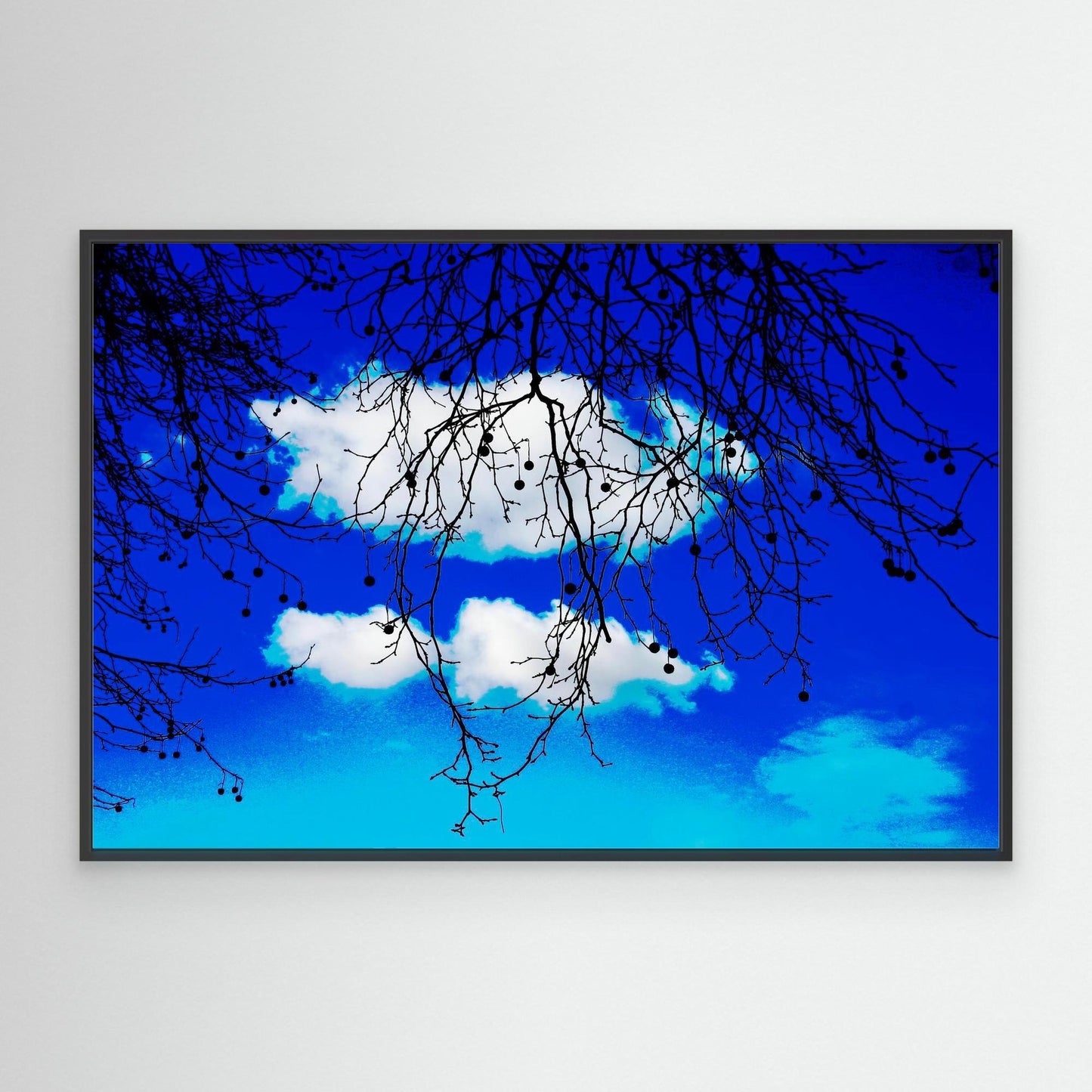 Hanging Between Clouds by Roger Cane