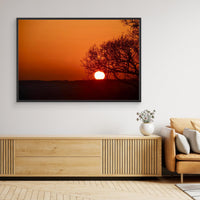 The Tree That Ate the Sun