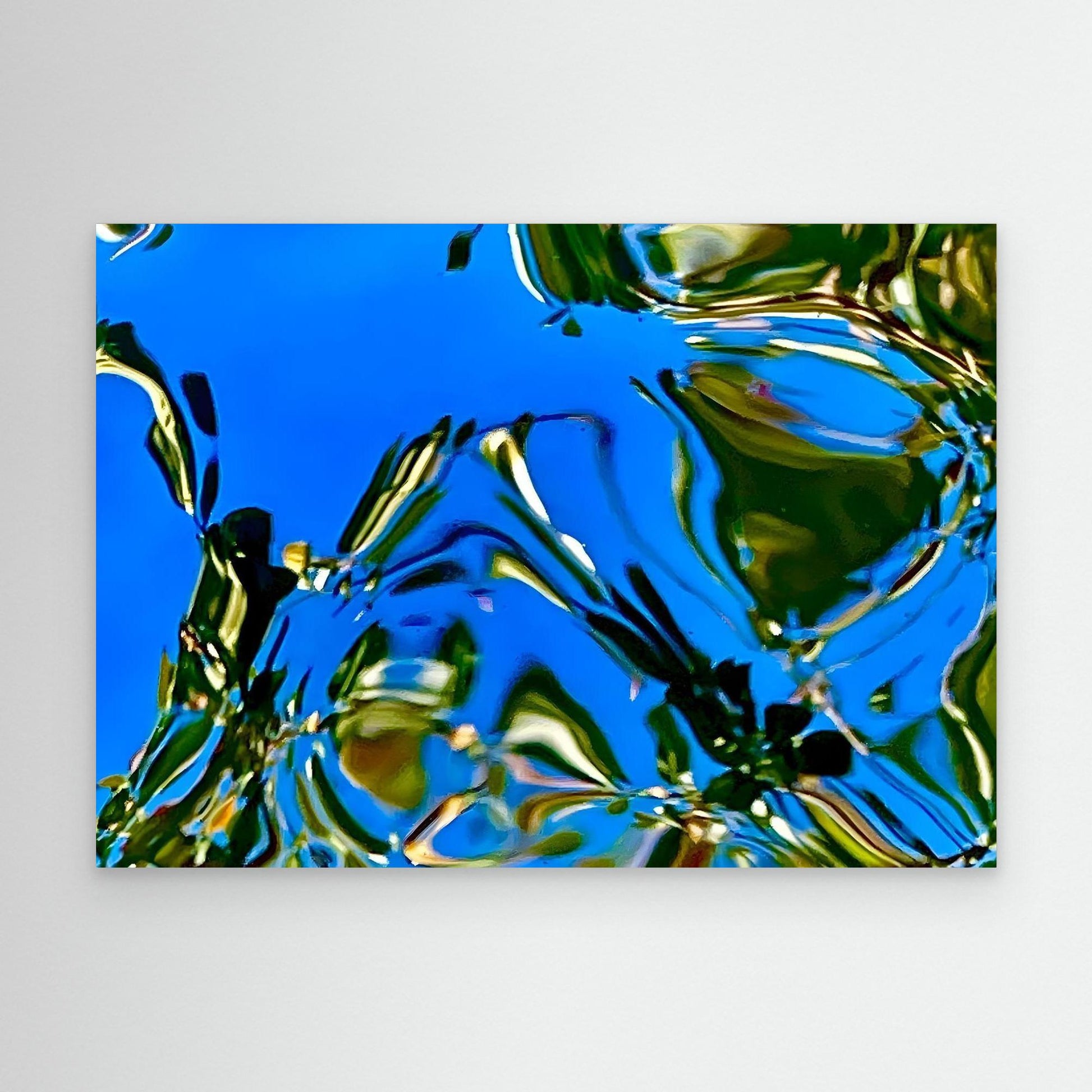 Reflections in Motion by Olivia Cane