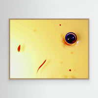 Fluidity 9714