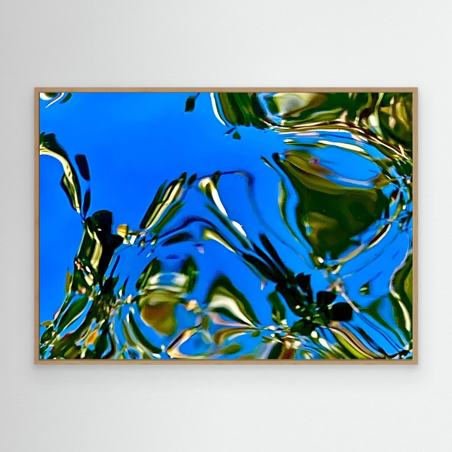 Reflections in Motion by Olivia Cane