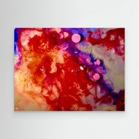 Fluidity 9738