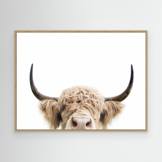 Peeking Cow by Kathrin Pienaar