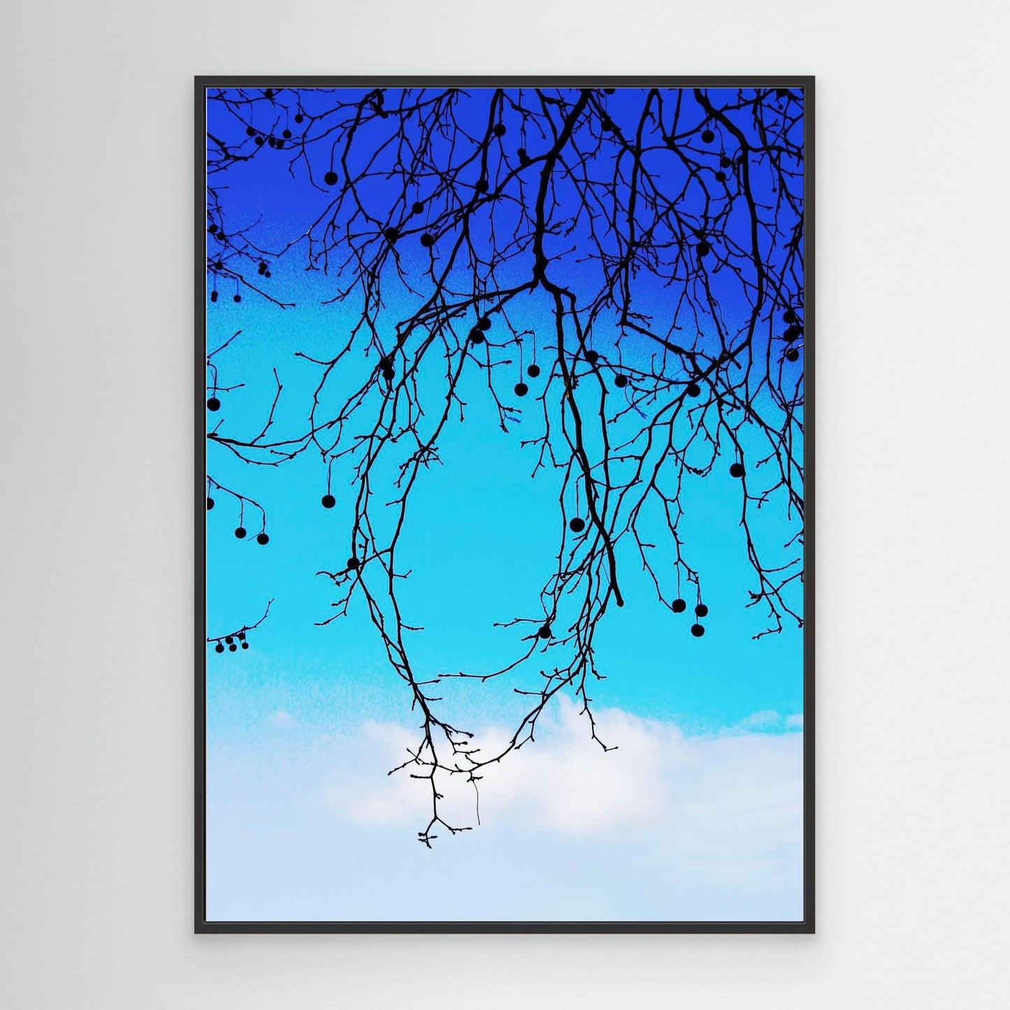 Drift of the Sky by Roger Cane