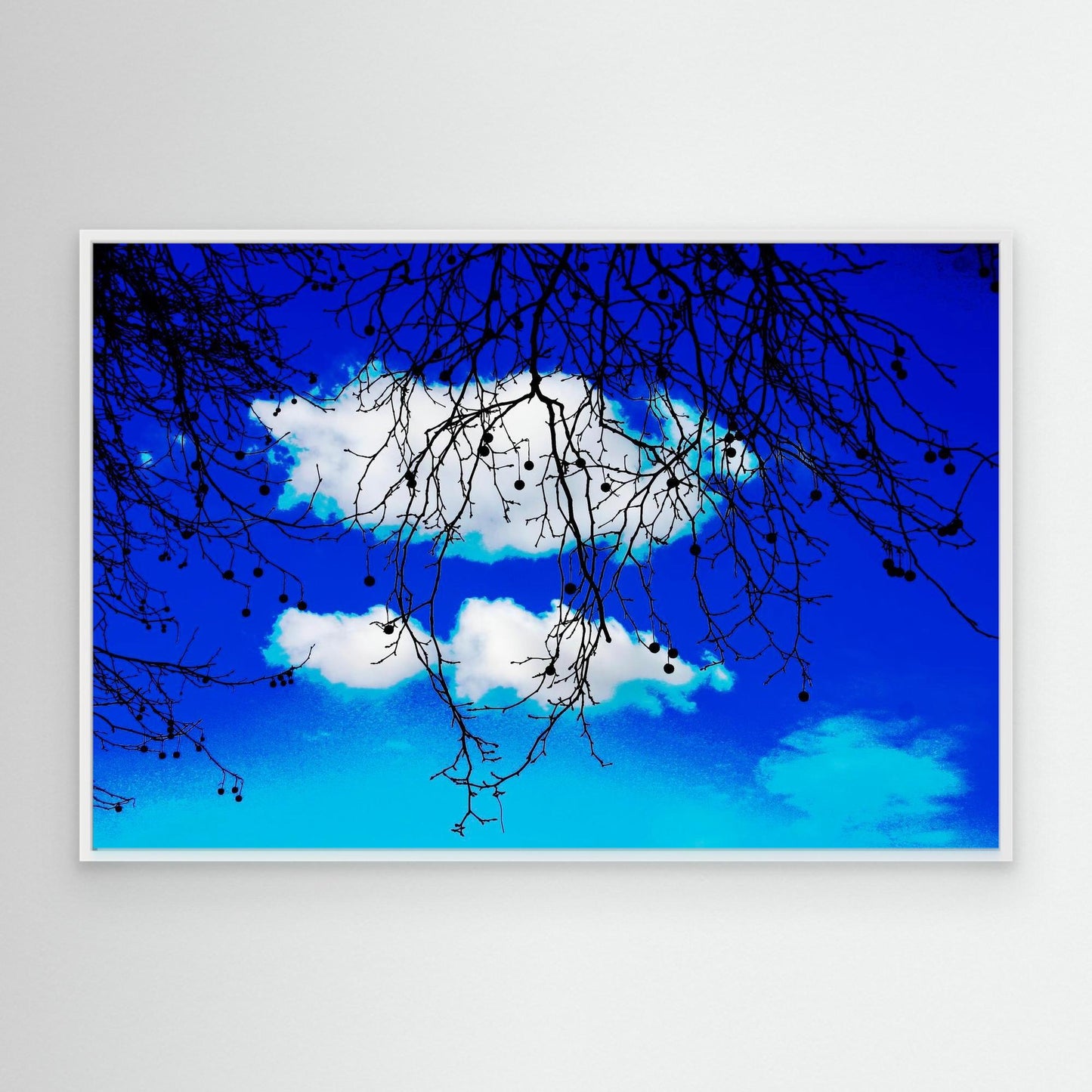 Hanging Between Clouds by Roger Cane