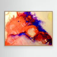 Fluidity 9735