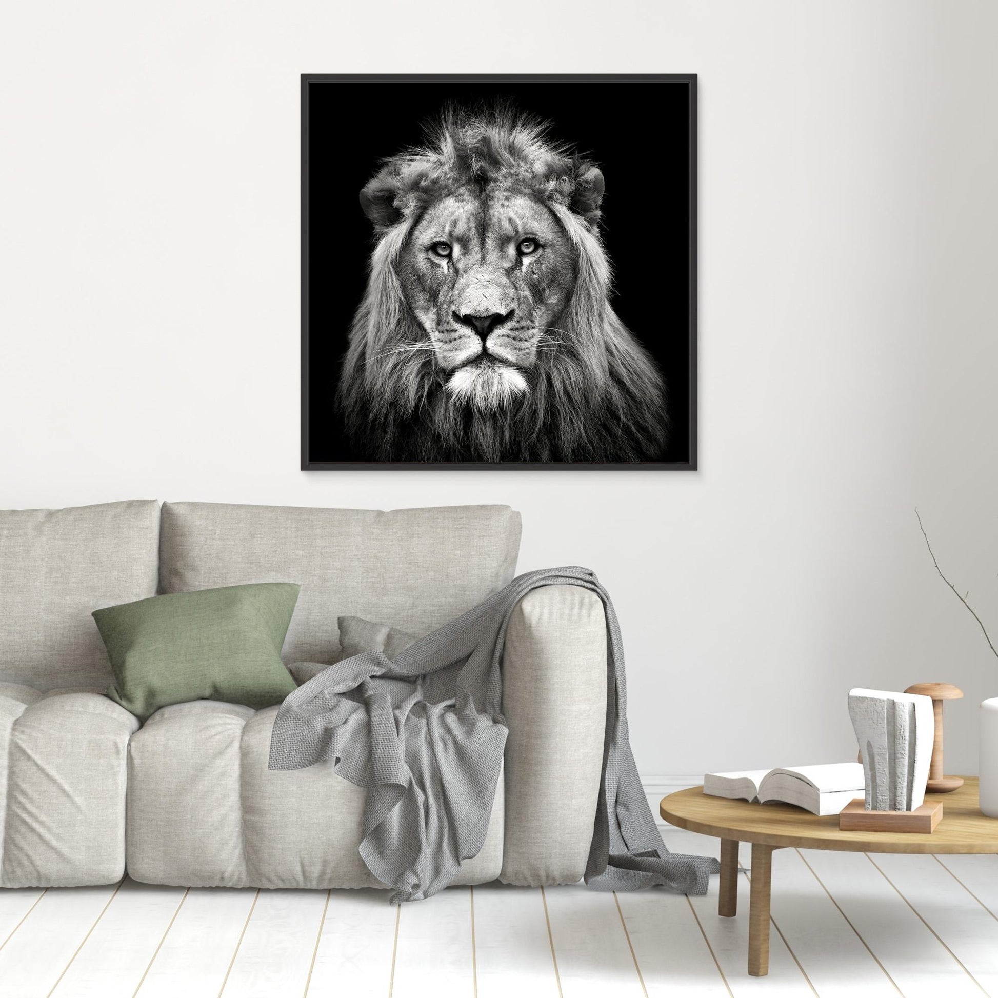 Young Male Lion by Christian Meermann