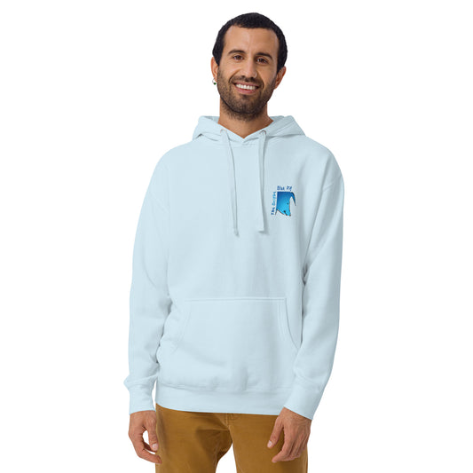 The Bright Blue Pig Unisex Hoodie