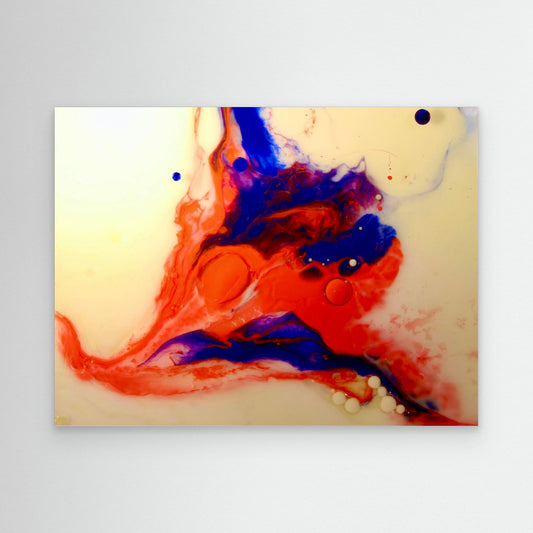 Fluidity 9733