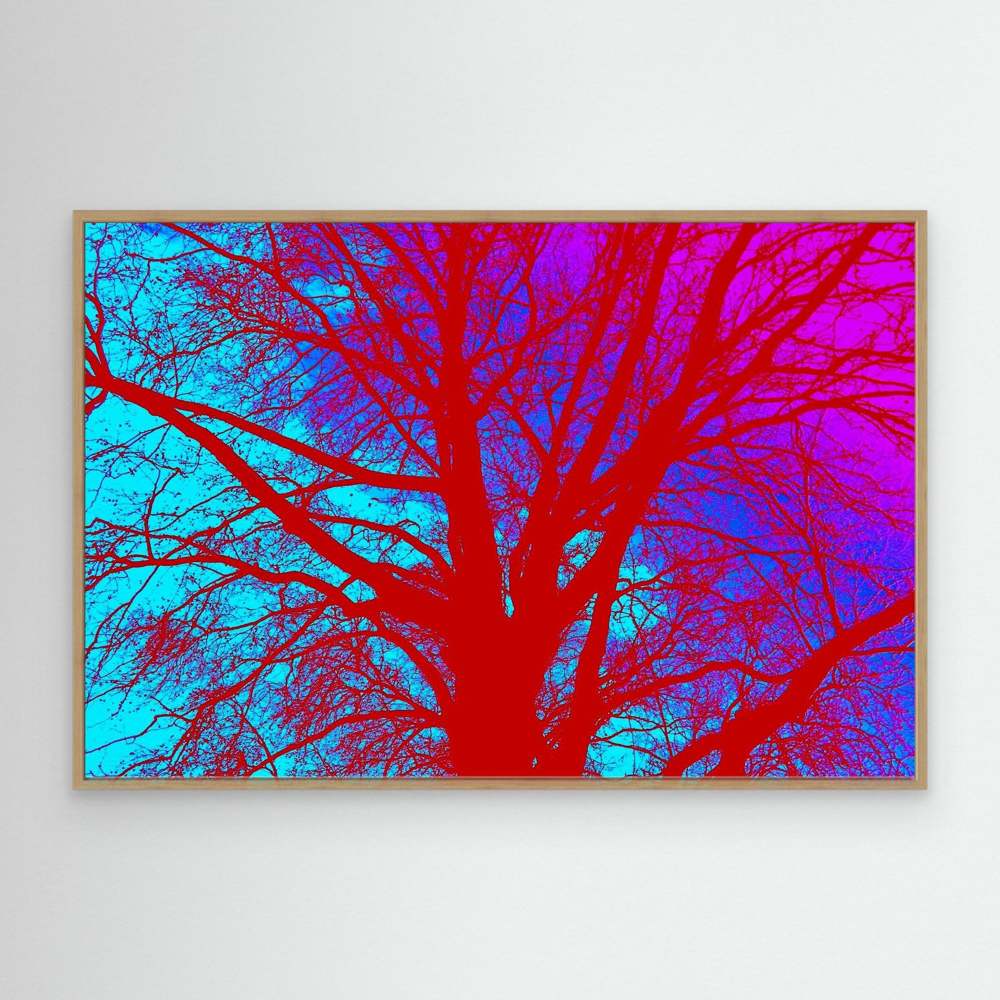 Electric Canopy by Roger Cane