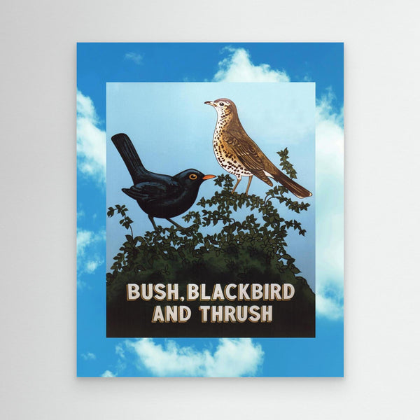 Bush, Blackbird and Thrush