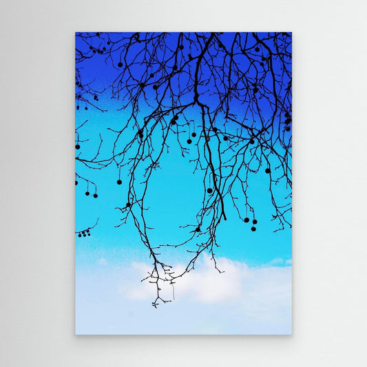 Drift of the Sky by Roger Cane