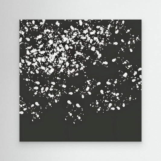 Echoes in Grey by Roger Cane