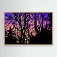 Violet Silence
