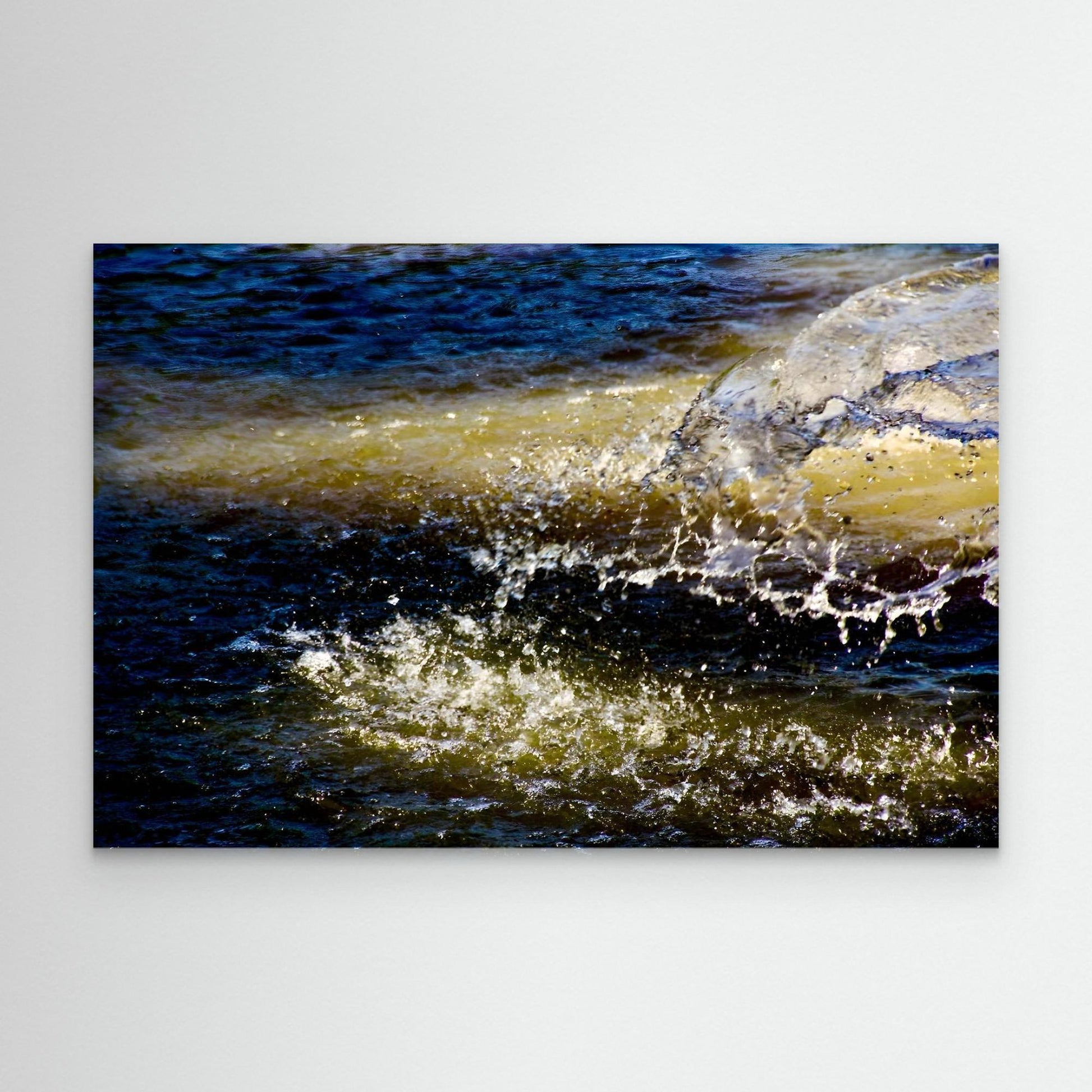 Frozen in Motion by Olivia Cane