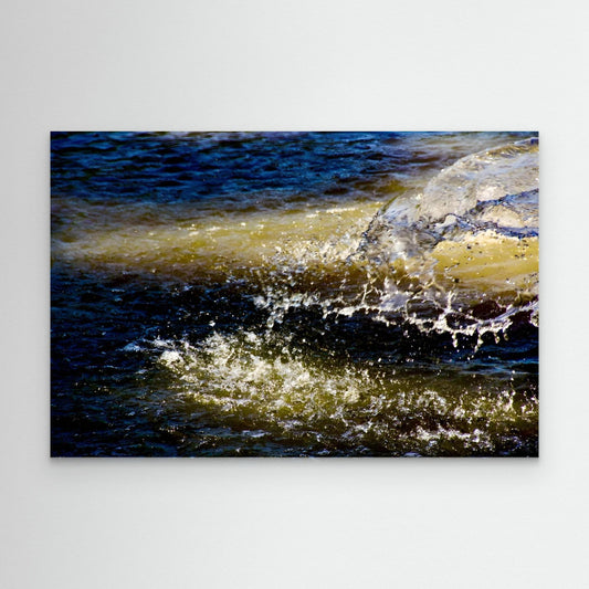 Frozen in Motion by Olivia Cane