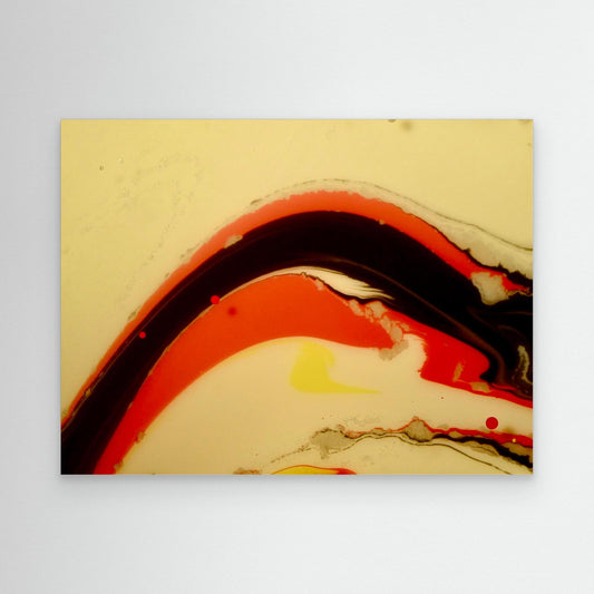 Fluidity 9812