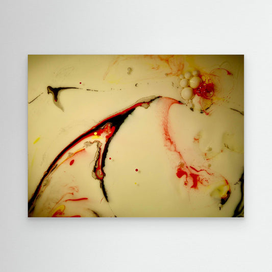 Fluidity 9818
