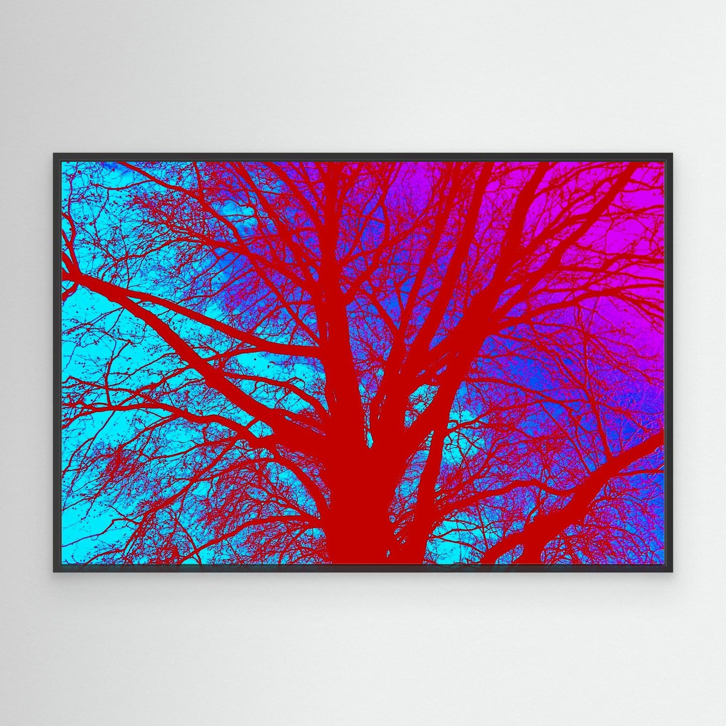 Electric Canopy by Roger Cane